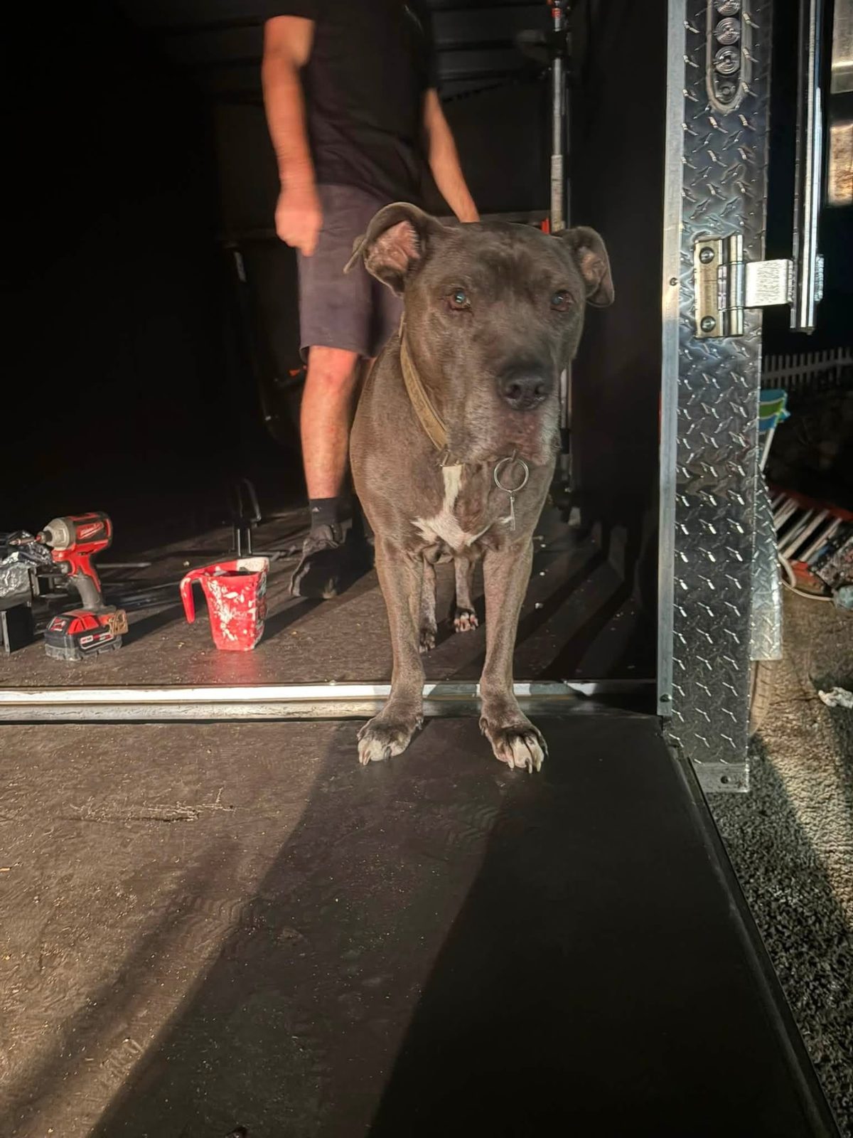 Butler, the Butlers Landscaping & Hauling mascot, standing on the trailer ramp